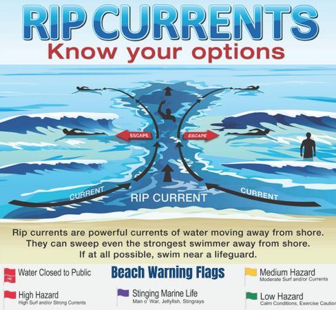 WEB_Riptides_Safety (488 x 450 px)