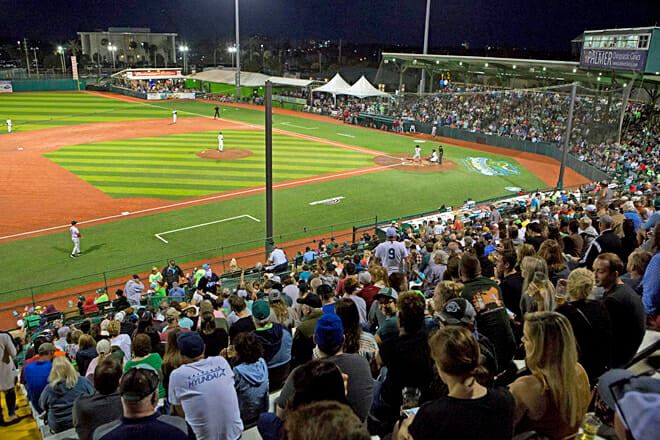 Jackie Robinson Ballpark