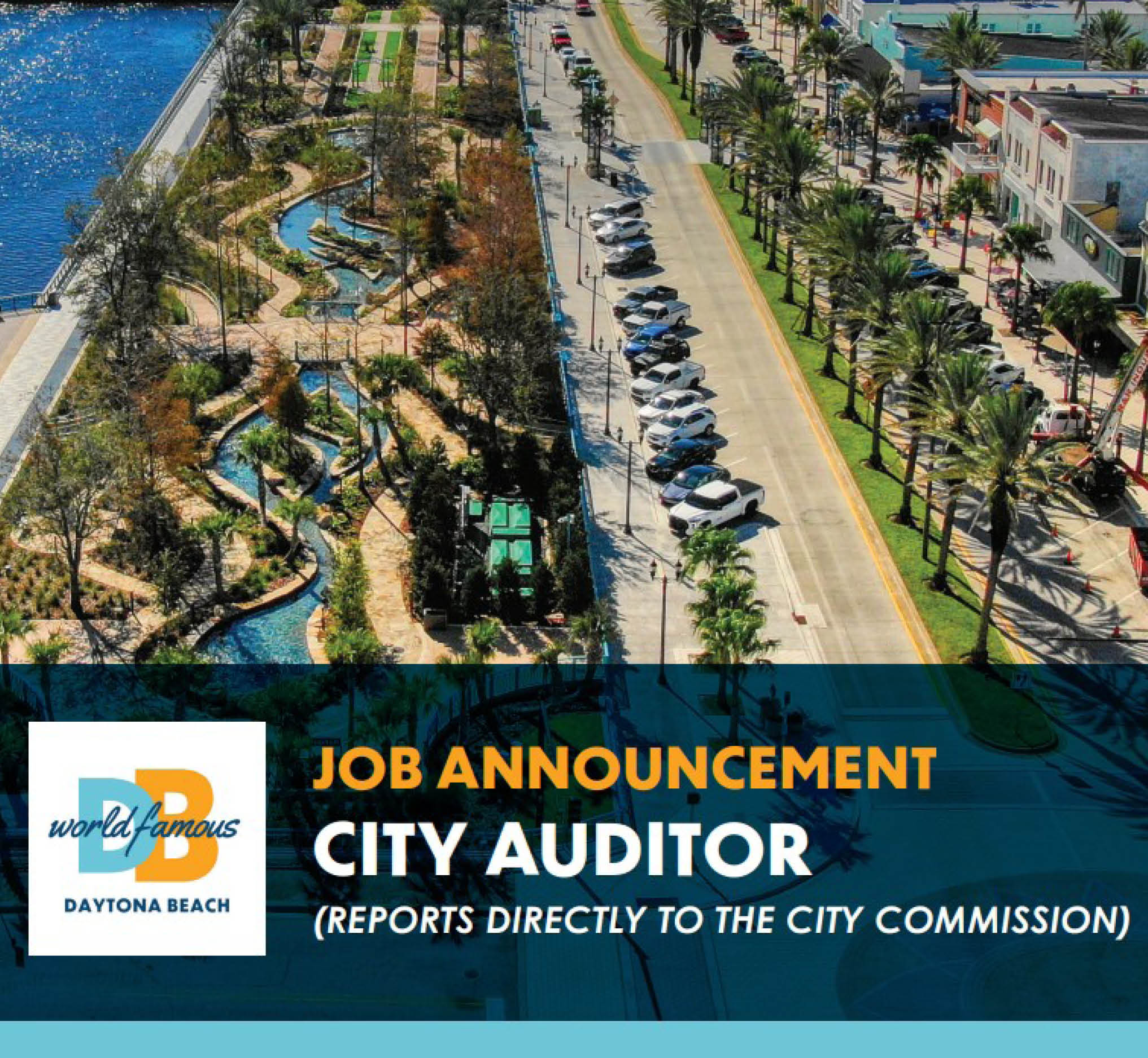 Auditor - Job Opening